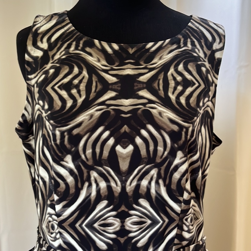 Like New! Taylor Sleeveless Dress - Picture 2 of 14